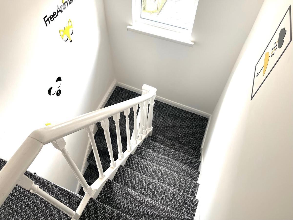 Entire Pinkapt - Free Parking - Up To 4 Guests - 3 Beds - Close To City Centre ベルファスト エクステリア 写真